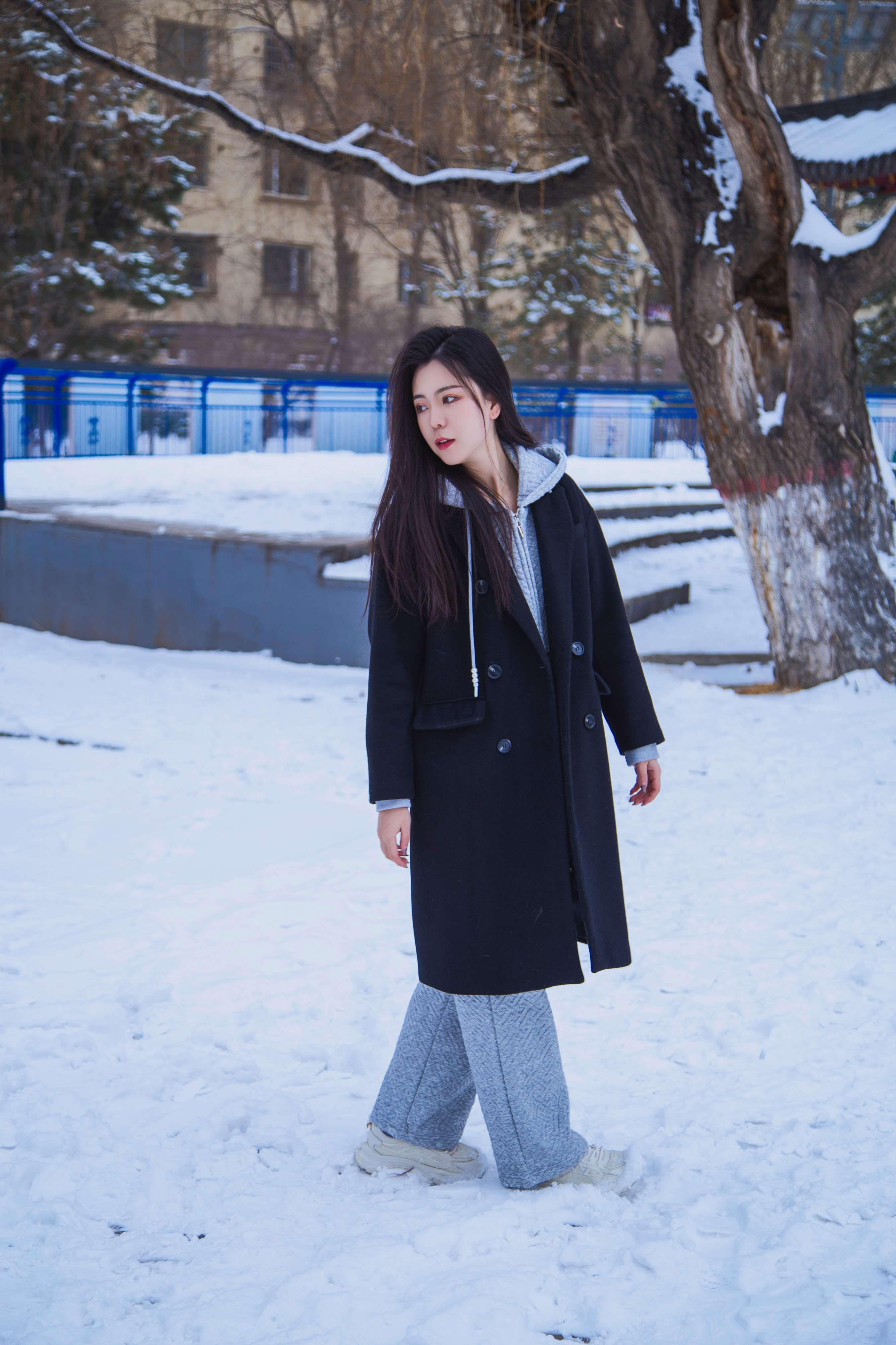 《踏雪无痕 首次雪景拍摄，天寒地冻》作品图