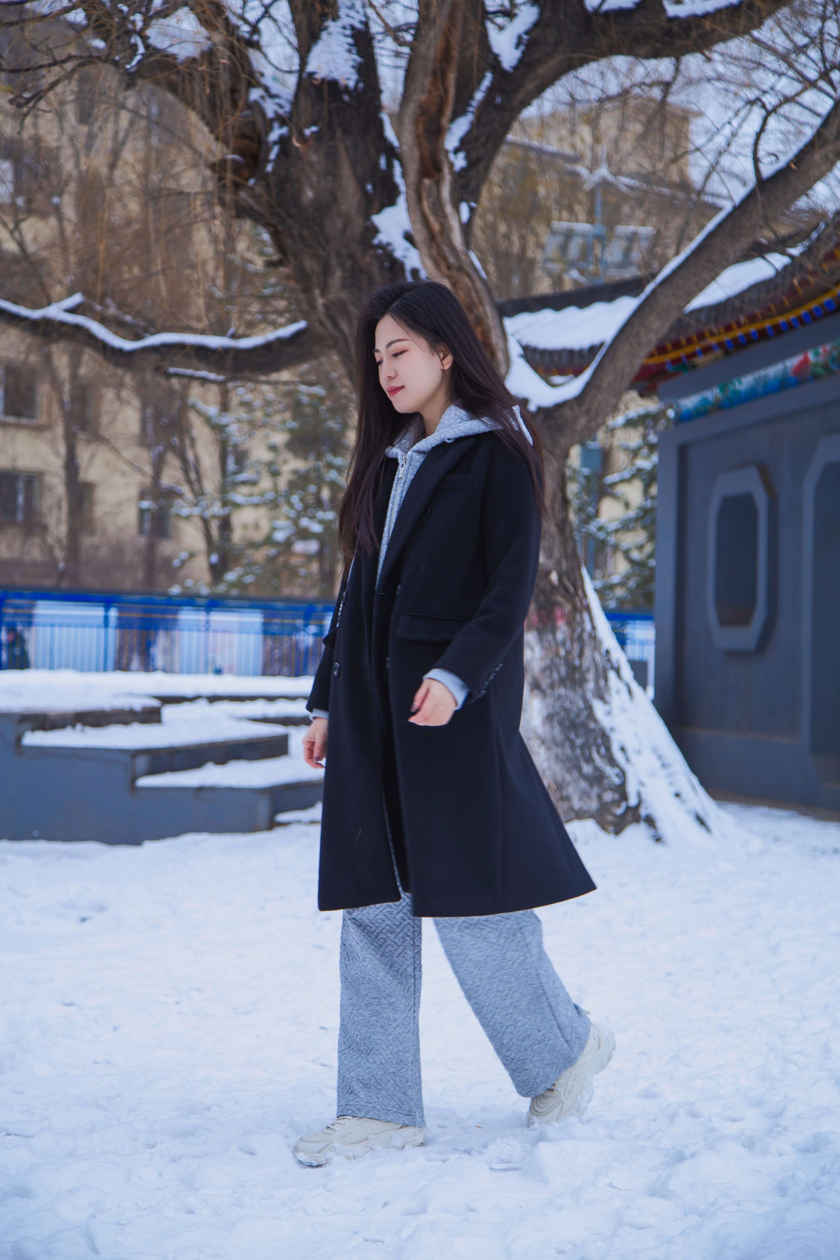 《踏雪无痕 首次雪景拍摄，天寒地冻》作品图