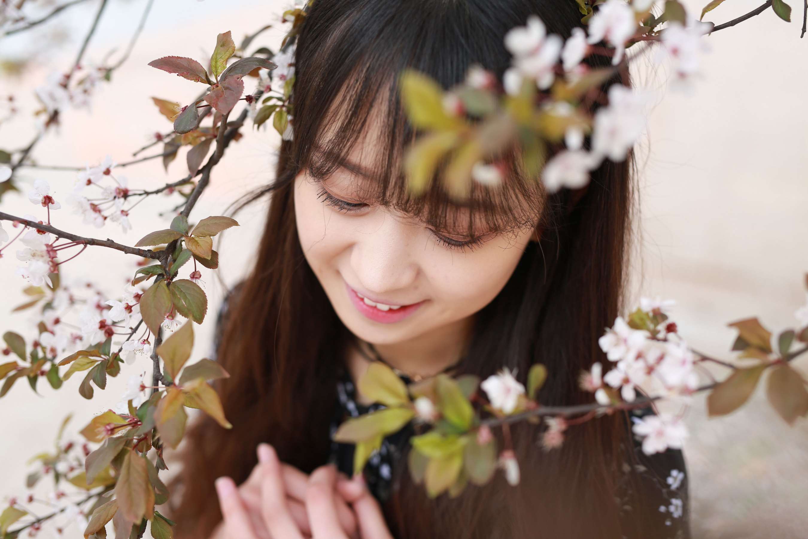 《蓝雪 碎花裙の嫩足》作品图