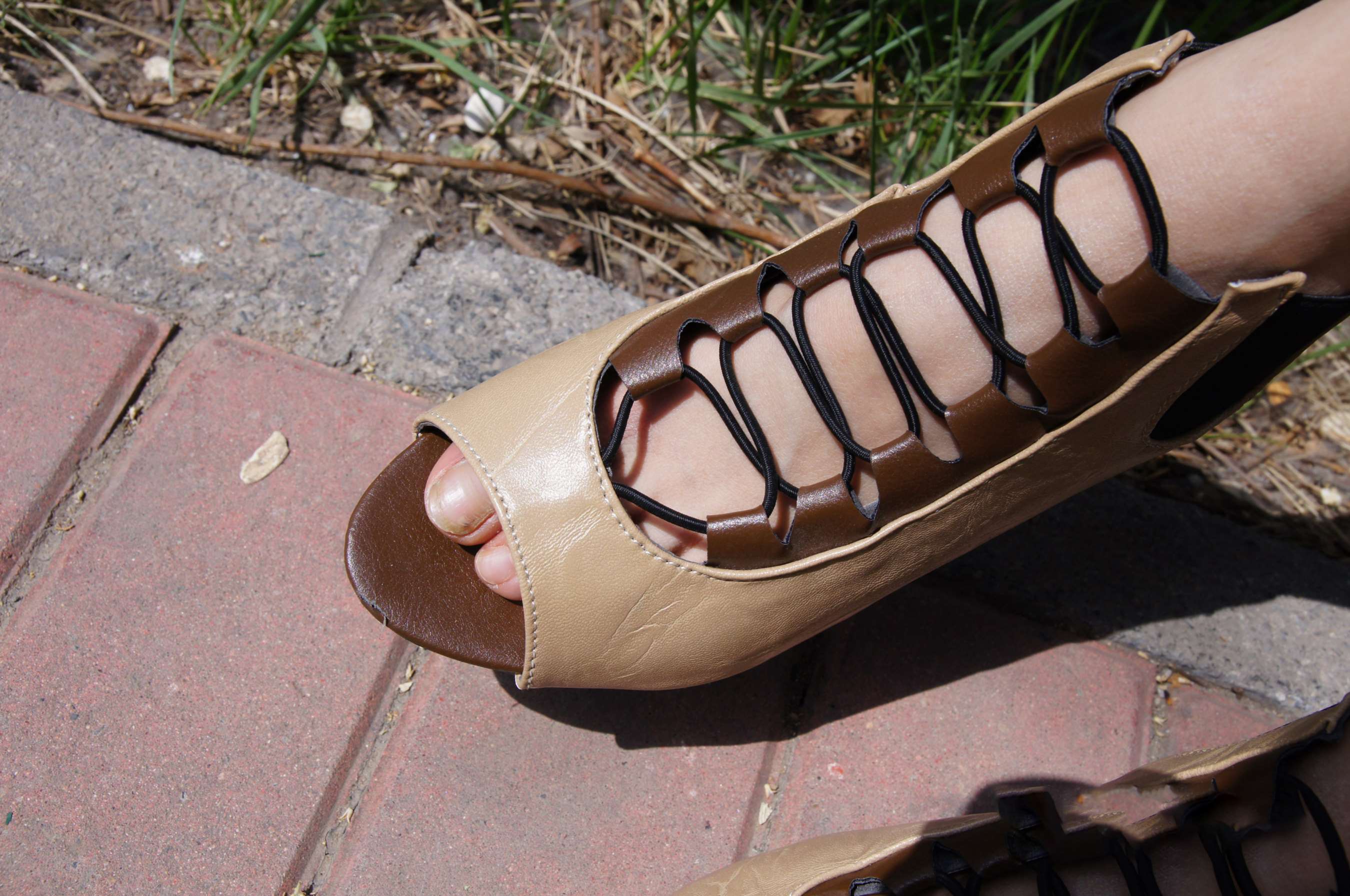 《高颜值美女裴菲菲》作品图