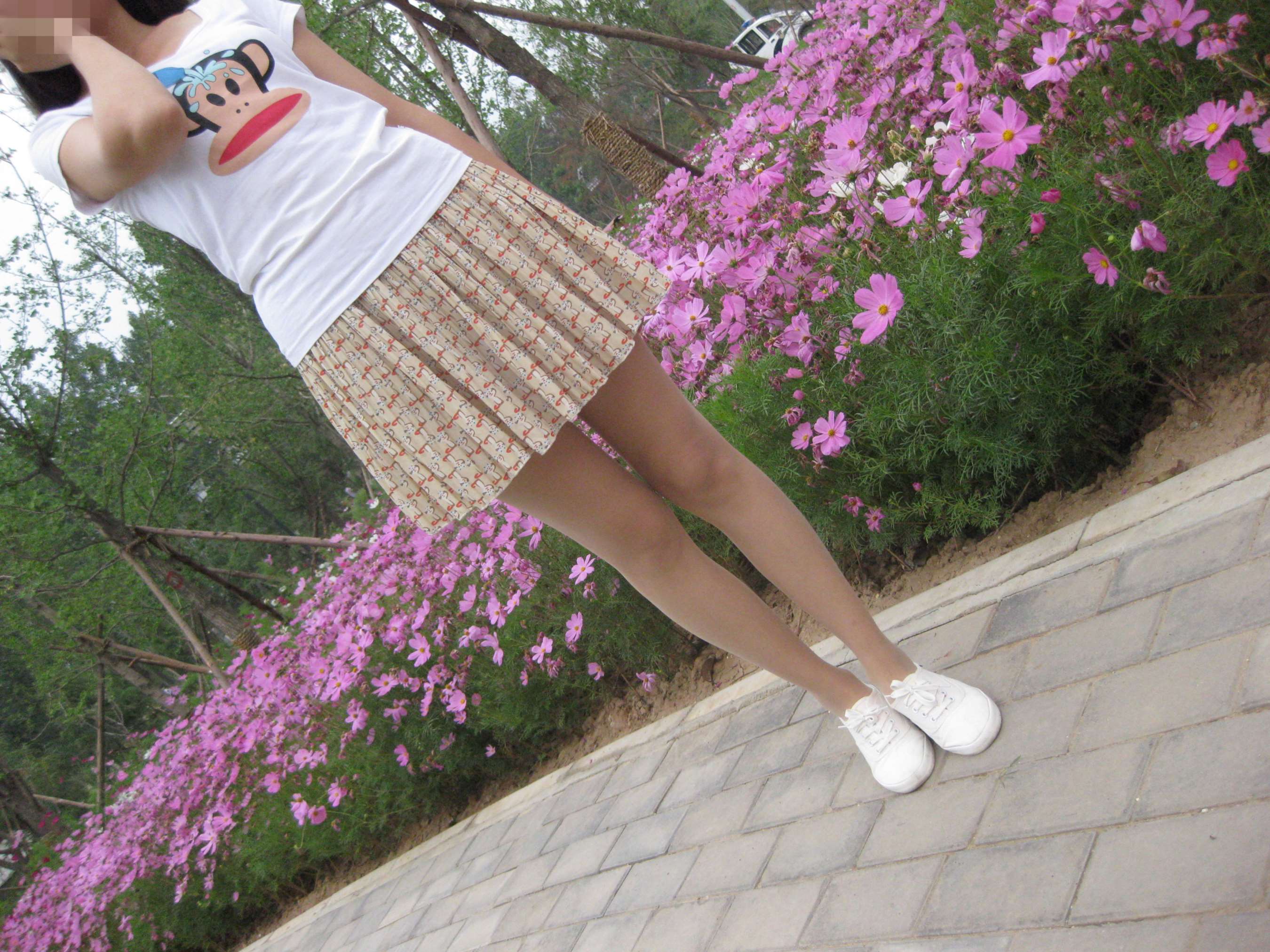 《在校学生倩倩妹妹外景肉丝短裙》作品图