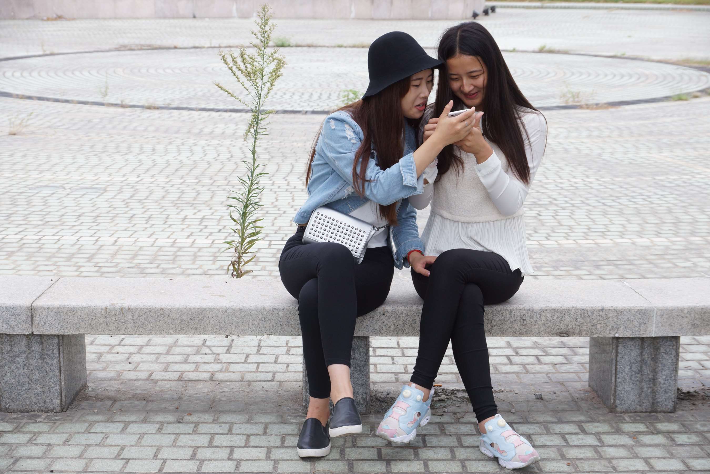 《两学姐校园互脚の量足》作品图