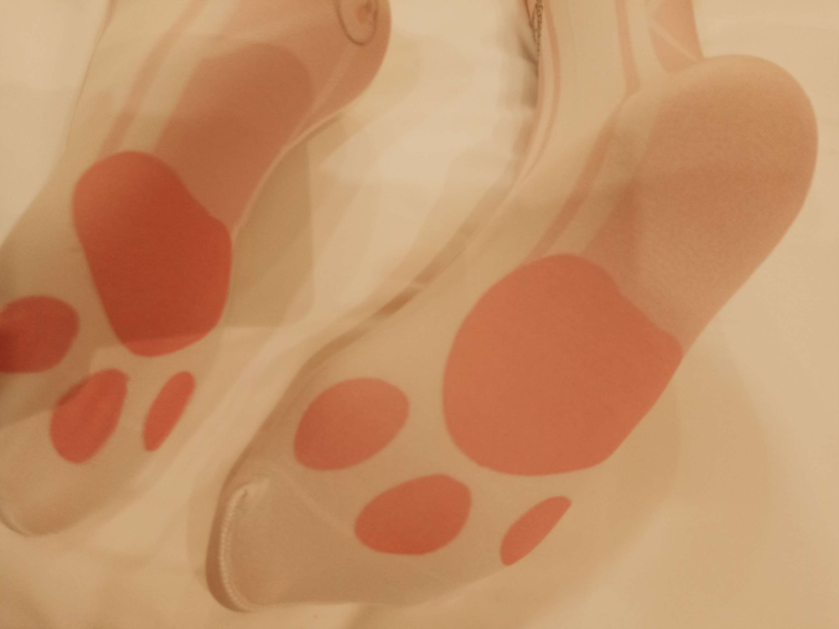 《少女白丝足》作品图