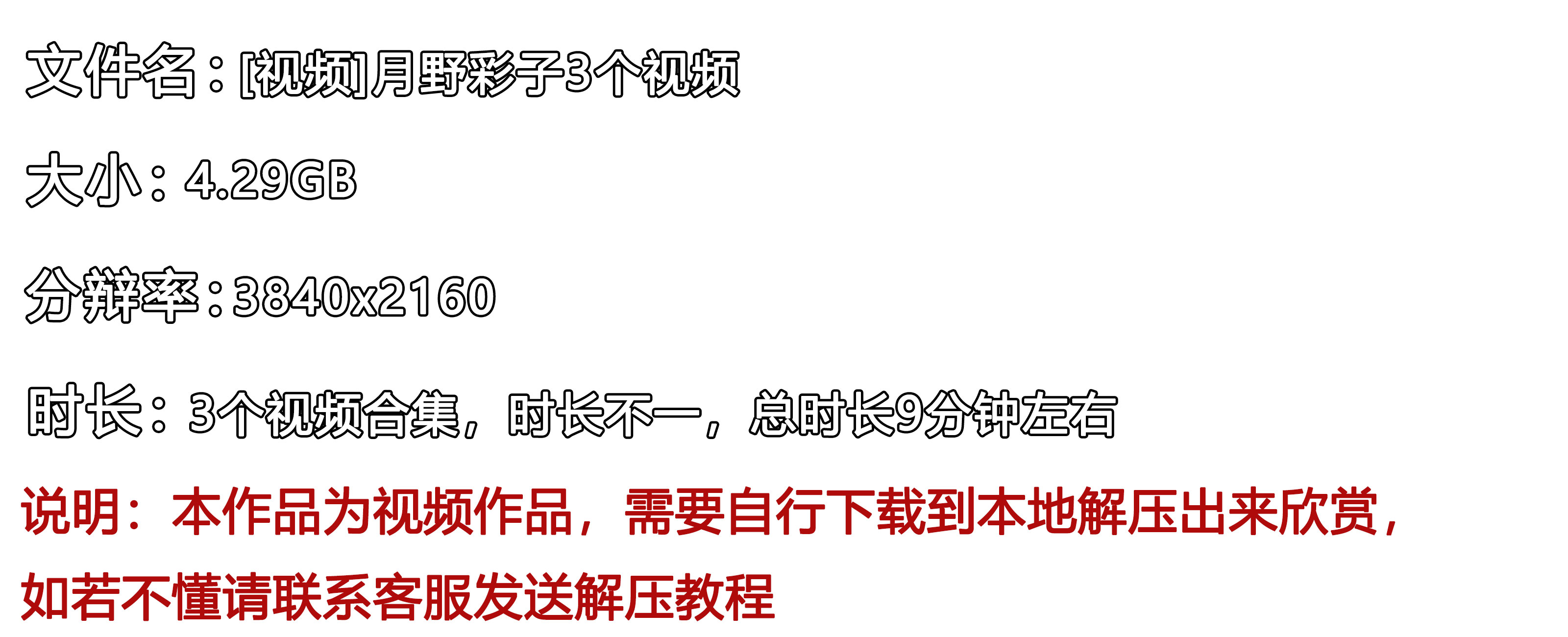 《[视频]月野彩子》作品图